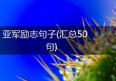 亚军励志句子(汇总50句)