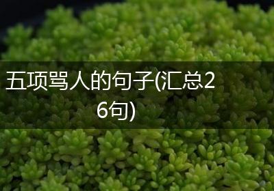 五项骂人的句子(汇总26句)