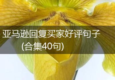 亚马逊回复买家好评句子(合集40句)