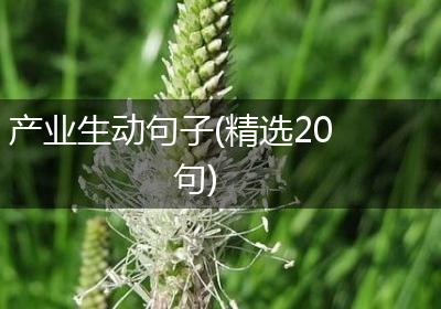产业生动句子(精选20句)