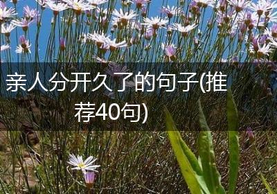 亲人分开久了的句子(推荐40句)