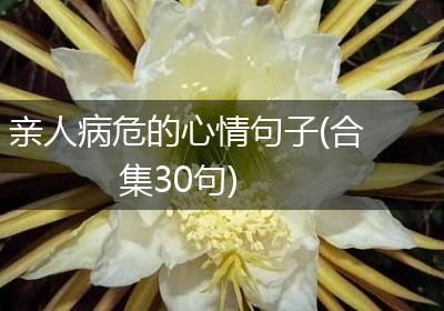 亲人病危的心情句子(合集30句)