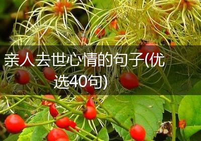 亲人去世心情的句子(优选40句)