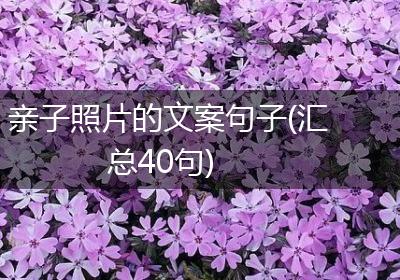亲子照片的文案句子(汇总40句)