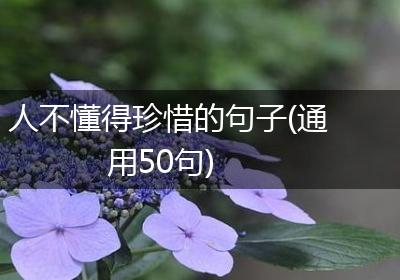 人不懂得珍惜的句子(通用50句)