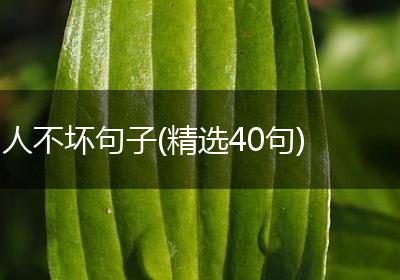 人不坏句子(精选40句)