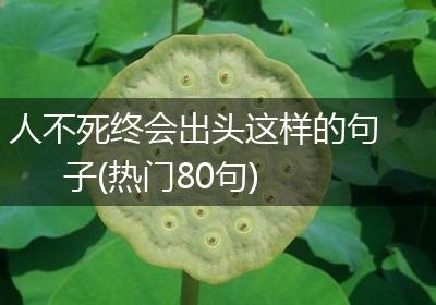 人不死终会出头这样的句子(热门80句)