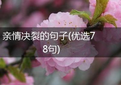 亲情决裂的句子(优选78句)