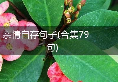 亲情自存句子(合集79句)