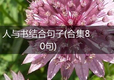 人与书结合句子(合集80句)