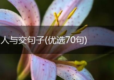 人与交句子(优选70句)