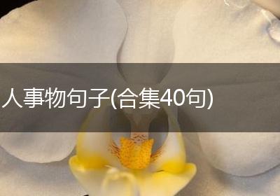 人事物句子(合集40句)