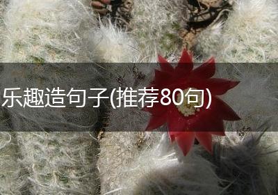 乐趣造句子(推荐80句)