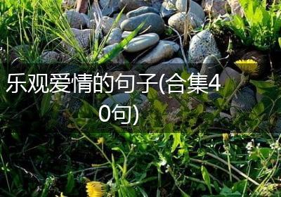 乐观爱情的句子(合集40句)