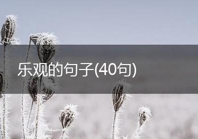乐观的句子(40句)