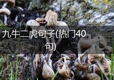 九牛二虎句子(热门40句)