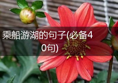 乘船游湖的句子(必备40句)