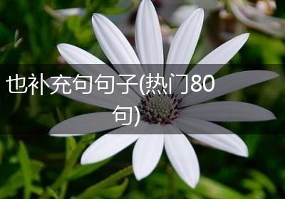 也补充句句子(热门80句)