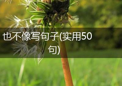 也不像写句子(实用50句)