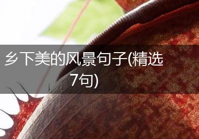 乡下美的风景句子(精选7句)
