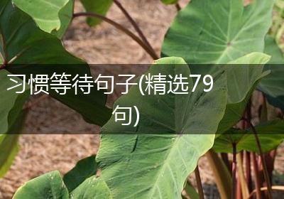 习惯等待句子(精选79句)