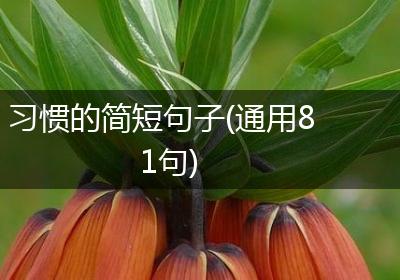 习惯的简短句子(通用81句)