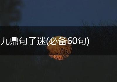九鼎句子迷(必备60句)