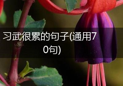 习武很累的句子(通用70句)