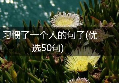 习惯了一个人的句子(优选50句)
