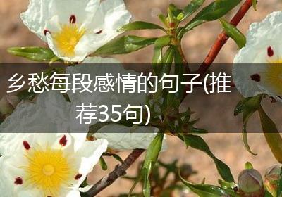 乡愁每段感情的句子(推荐35句)