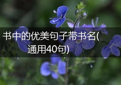 书中的优美句子带书名(通用40句)