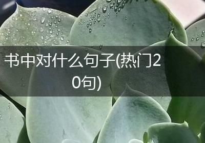 书中对什么句子(热门20句)