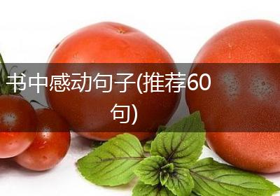 书中感动句子(推荐60句)