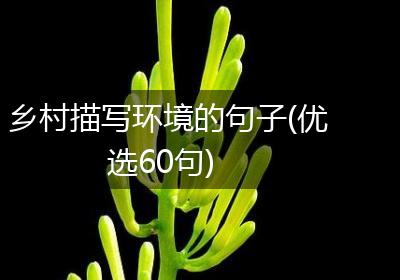 乡村描写环境的句子(优选60句)