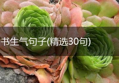 书生气句子(精选30句)