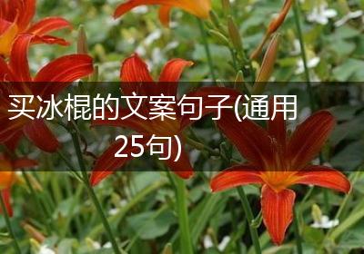 买冰棍的文案句子(通用25句)