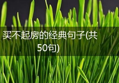 买不起房的经典句子(共50句)