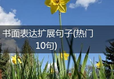 书面表达扩展句子(热门10句)