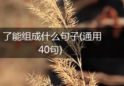 了能组成什么句子(通用40句)