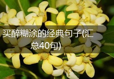买醉糊涂的经典句子(汇总40句)