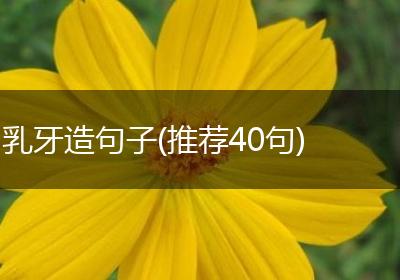 乳牙造句子(推荐40句)