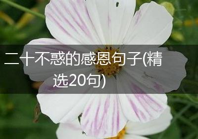 二十不惑的感恩句子(精选20句)