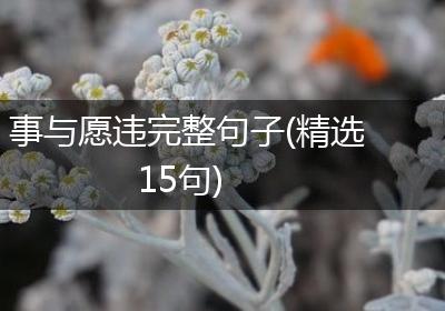 事与愿违完整句子(精选15句)