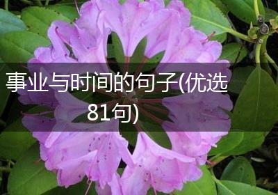 事业与时间的句子(优选81句)