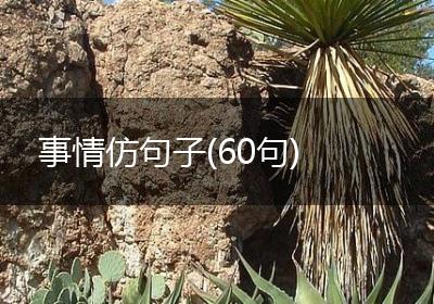 事情仿句子(60句)