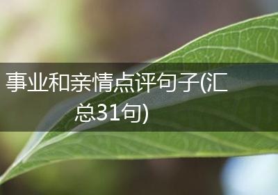 事业和亲情点评句子(汇总31句)