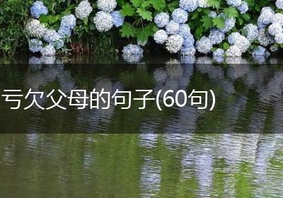 亏欠父母的句子(60句)