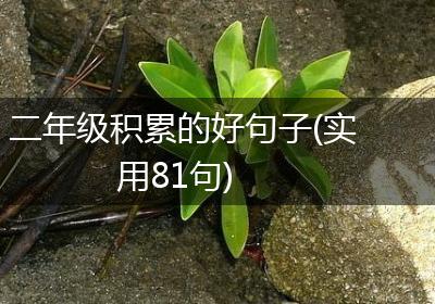二年级积累的好句子(实用81句)