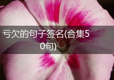 亏欠的句子签名(合集50句)