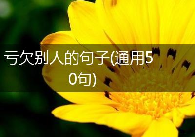 亏欠别人的句子(通用50句)